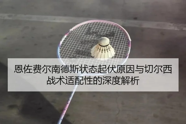 恩佐费尔南德斯状态起伏原因与切尔西战术适配性的深度解析